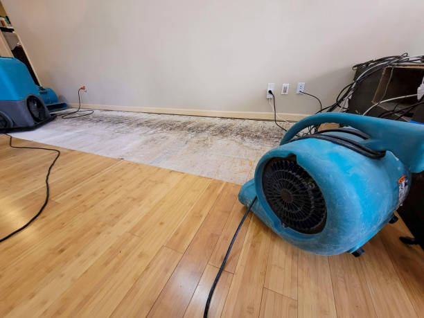 Professional Structural Drying technician working in Camp Nelson, CA
